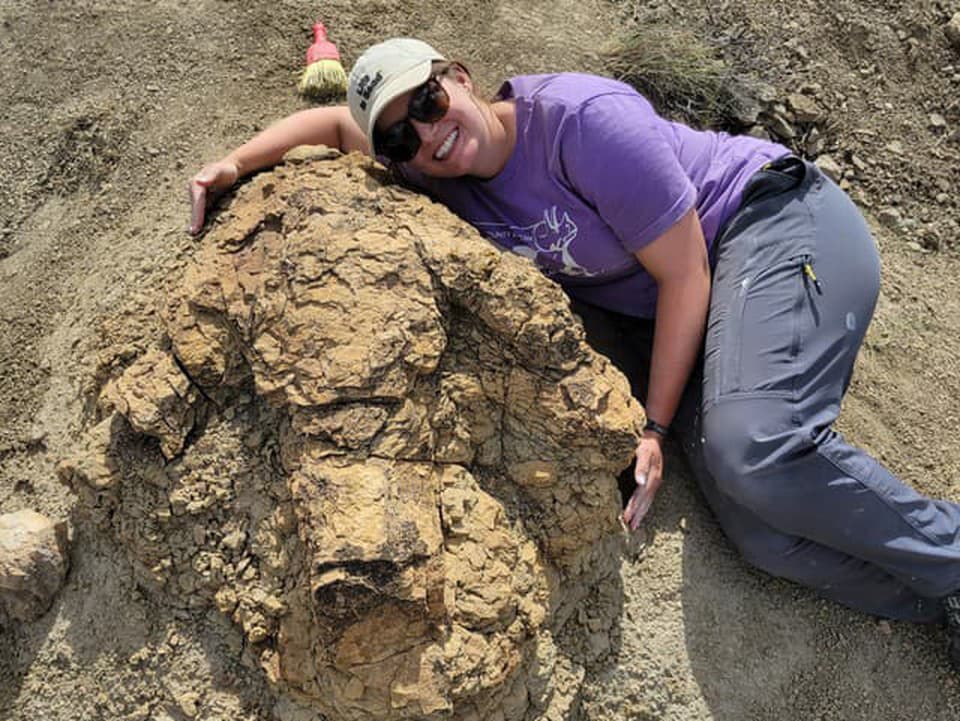 Vedci objavili stopy dospelého T-rexa, odhaľujú tajomstvá najväčšieho predátora histórie