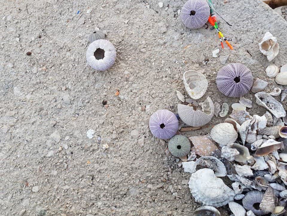 Turistka si chcela zo Sardínie odniesť desiatky kíl piesku a mušlí, úrady sprísňujú kontroly