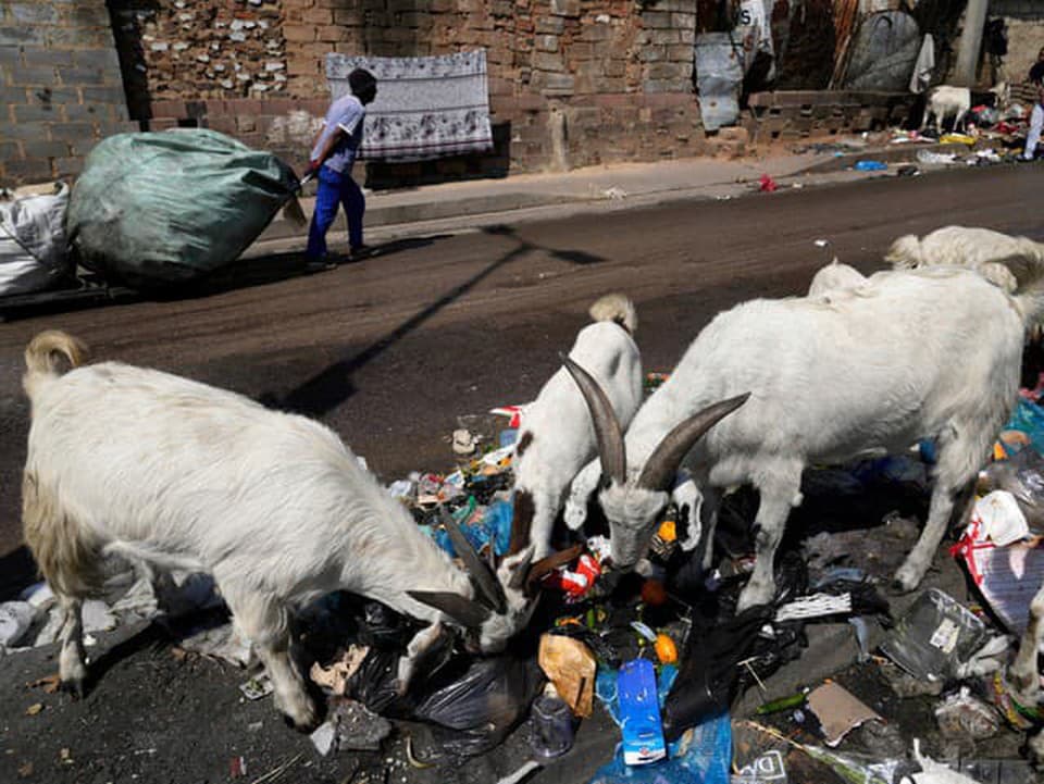 Toxické peklo: Johannesburg plnia hory smetí, vzduch sa nedá dýchať
