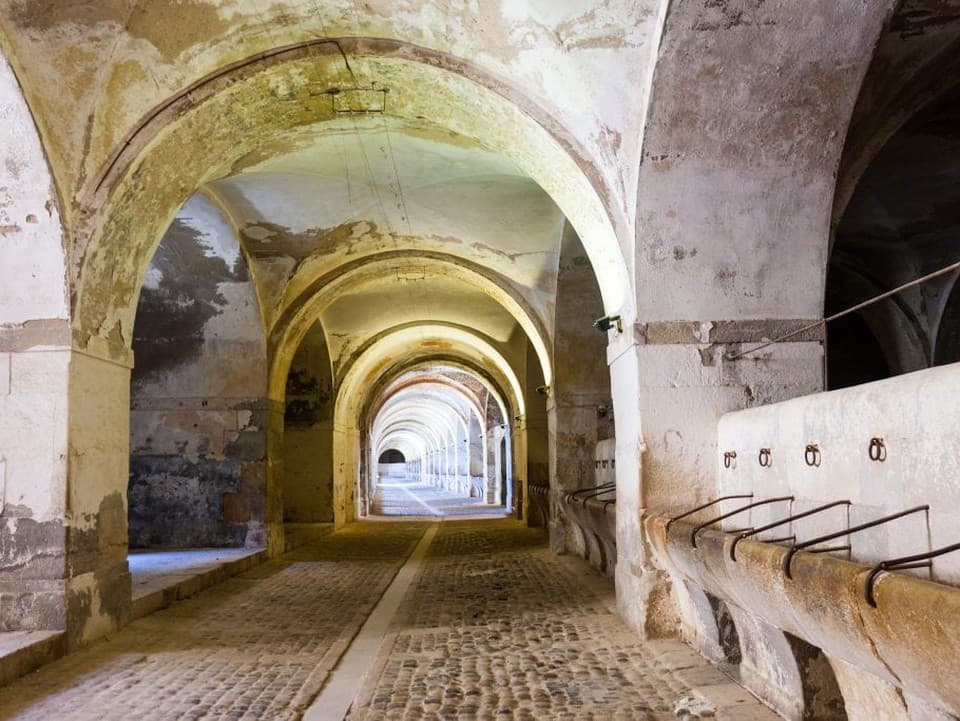 URBEX Tajomstvo ukryté v lesoch: Kaštieľ Beluja chátra, no jeho rozprávková krása stále nezmizla