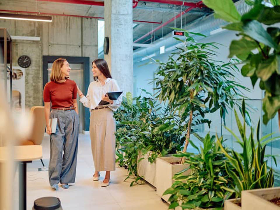 Wellbeing v práci už nie je luxus: Prečo firmy riešia duševnú pohodu zamestnancov viac než kedykoľvek predtým