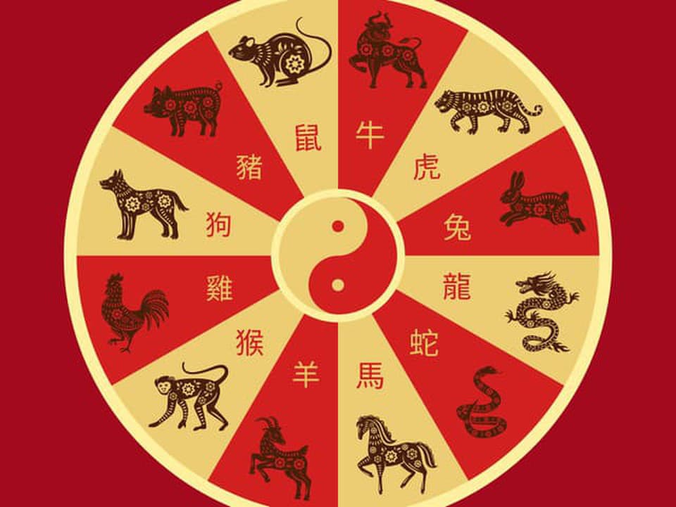 Veľký čínsky horoskop: Ktoré znamenia môžu očakávať vyšší plat v tomto roku?