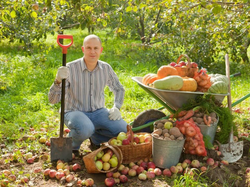 Záhradné práce v septembri: Čo robiť, keď úroda vrcholí, leto končí a záhrada sa chystá na zimu?