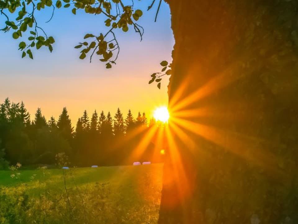 Keď Slnko vládne najdlhšie: Tajomstvá letného slnovratu, magické rituály a tradície našich predkov