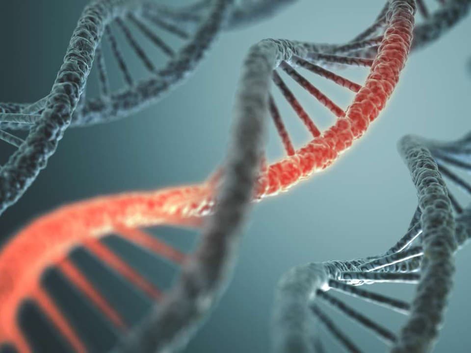 DNA už nemusí uchovávať len naše gény. Vedci z nej vytvorili elektronickú pamäť pre budúce počítače