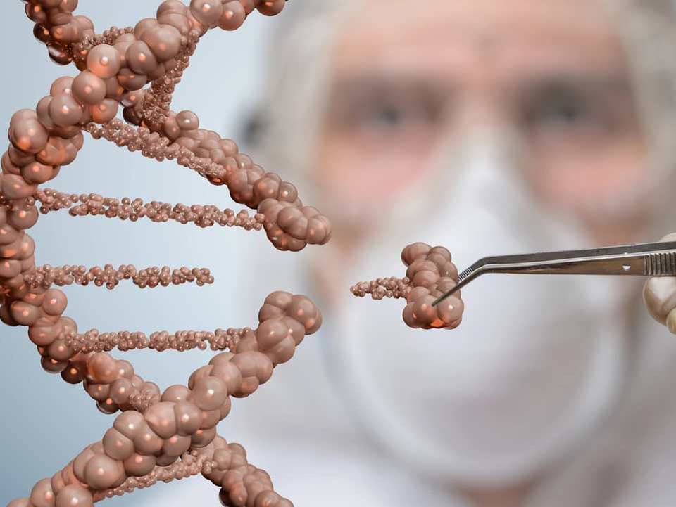 Život môže vyzerať úplne inak, než ho poznáme. Vedci ukázali, že DNA nemusí mať len štyri písmená
