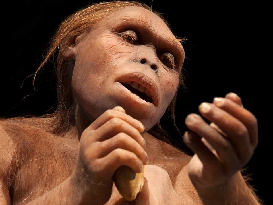 Vedci tvrdia, že táto 3,8 milióna rokov stará tvár pomohla vyriešiť veľkú záhadu ľudskej evolúcie