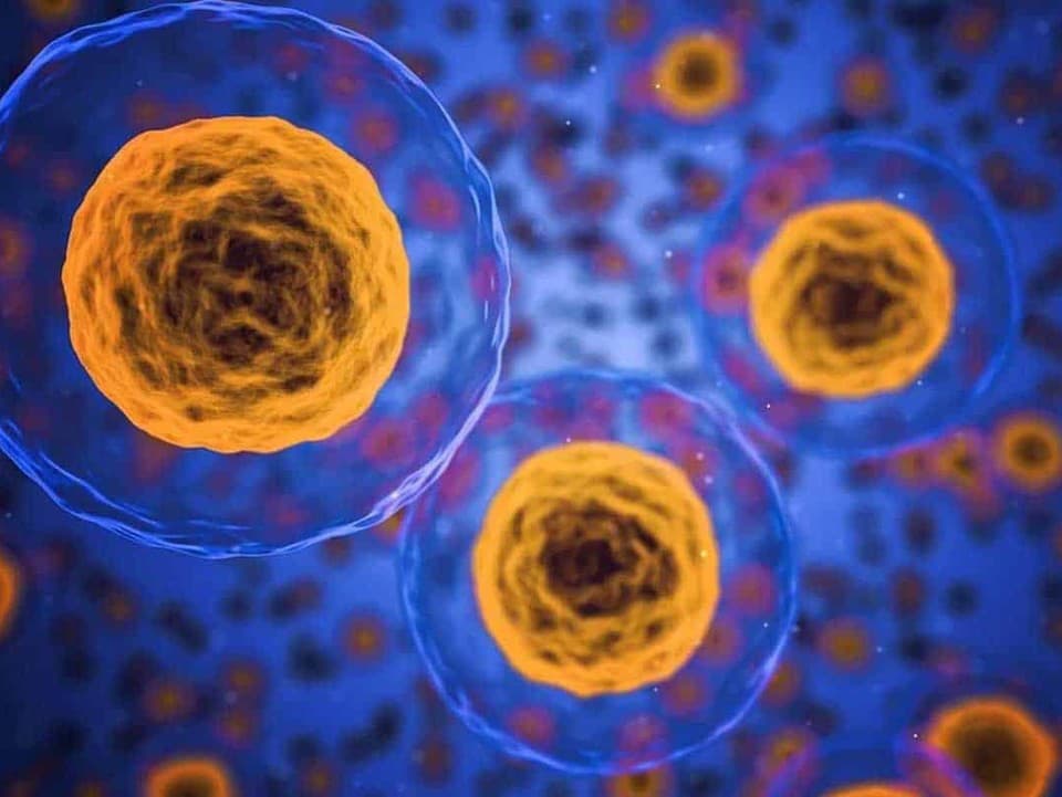 Vedci vytvorili v ľudských bunkách malé biologické „počítače“. Raz by mohli samy rozpoznať rakovinu