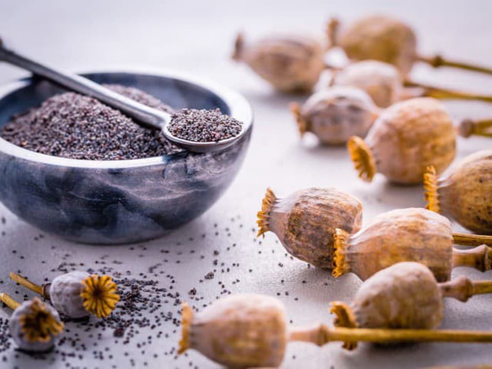 Jadna z najunikátnejších potravín z našich končín: Ľahko môžete jej výživovú hodnotu zničiť!