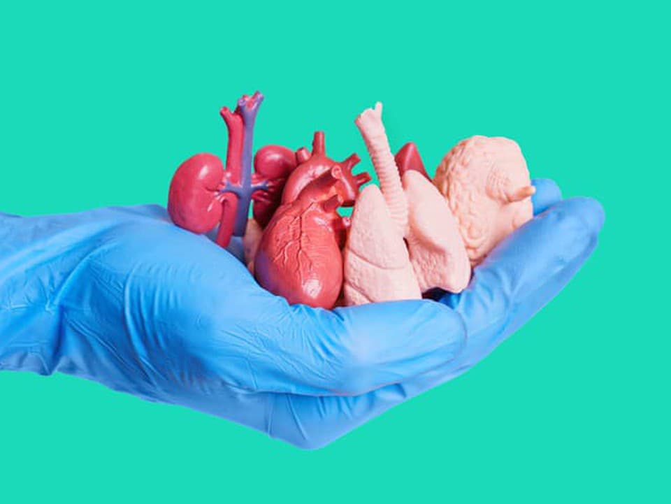 Za osem mesiacov sa na Slovensku uskutočnilo  160 transplantácií orgánov