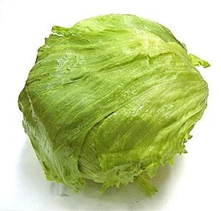 Hlávkový šalát