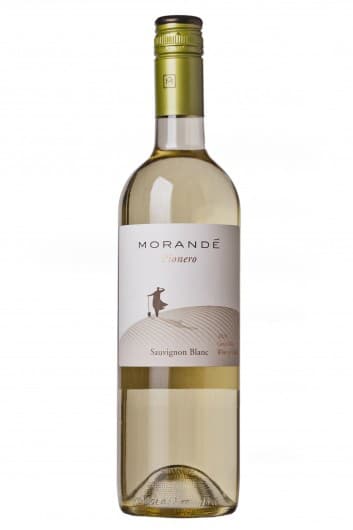Sauvignon Blanc Pionero (Vina