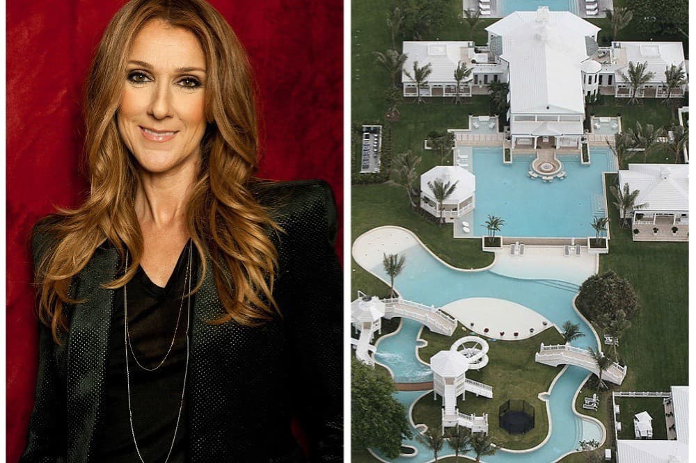 Celine Dion má na