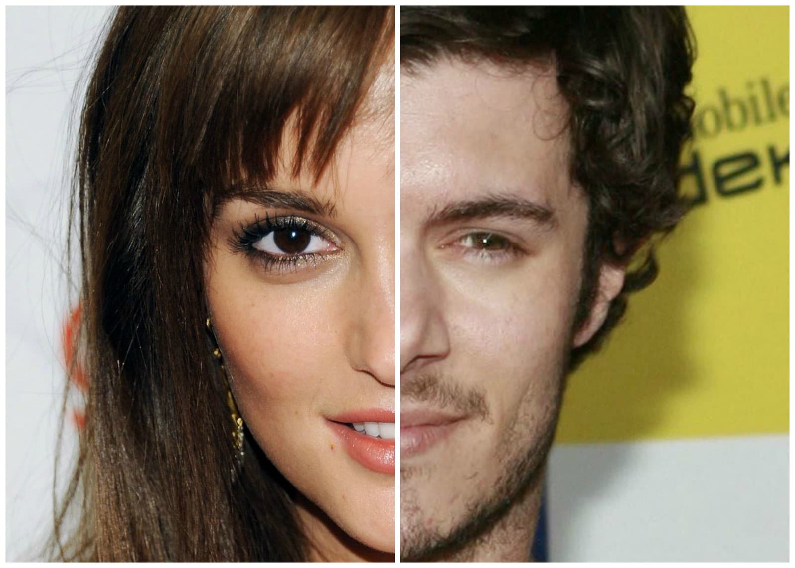 Leighton Meester a Adam