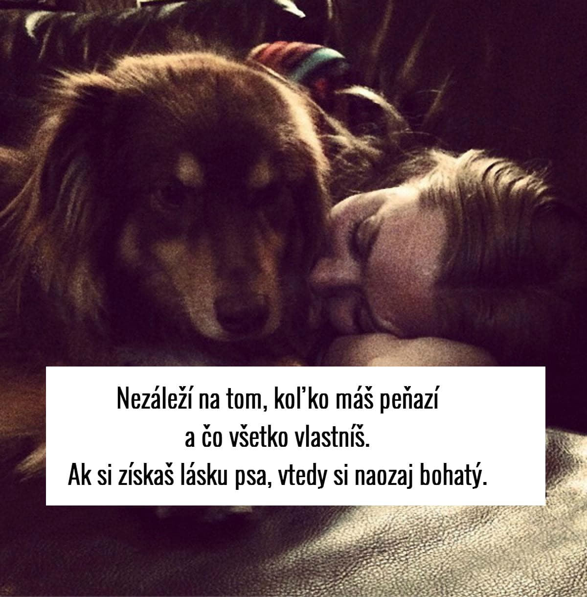 Domáce zvieratká sú tu
