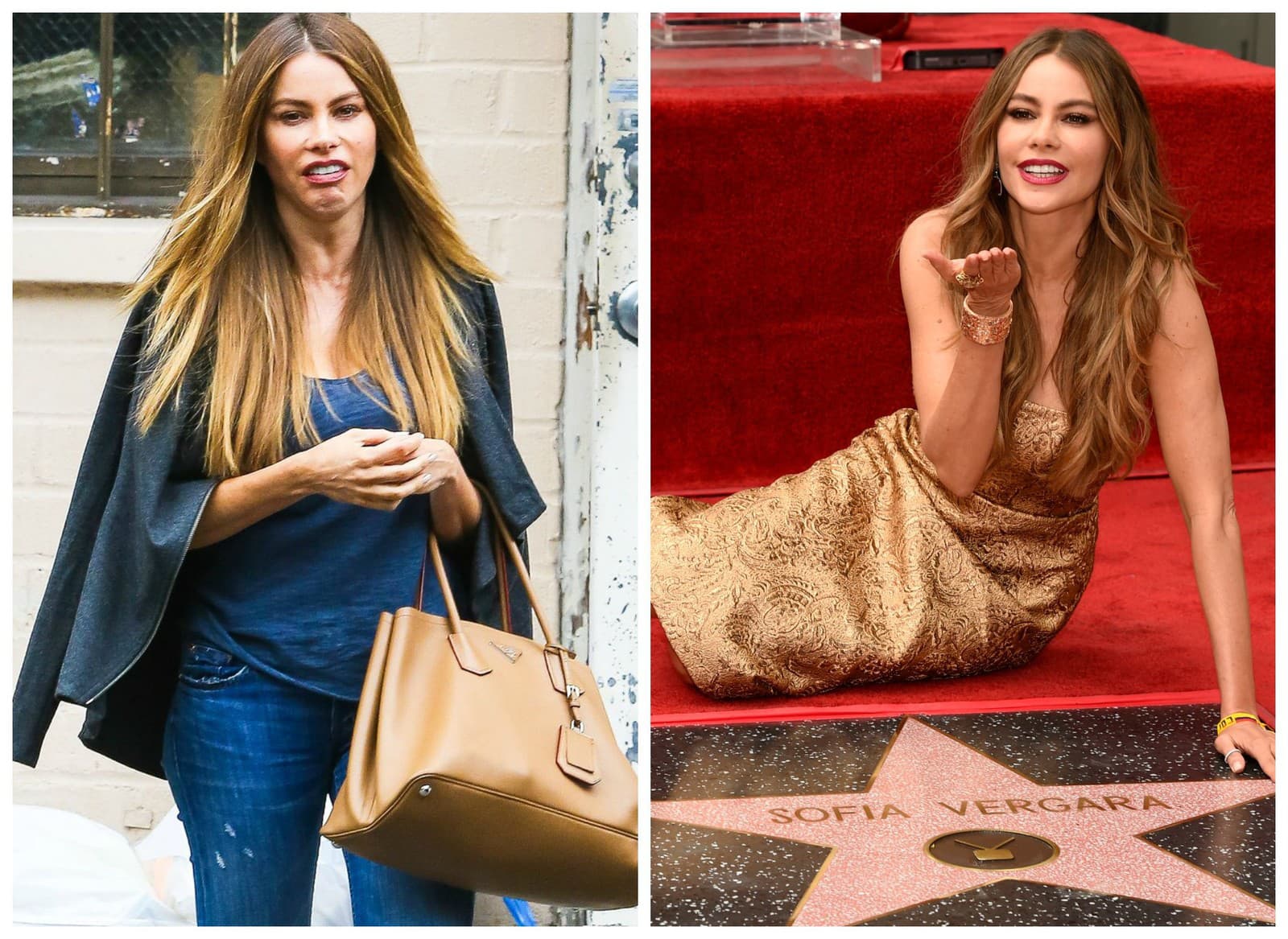 Sofia Vergara bola zrejme