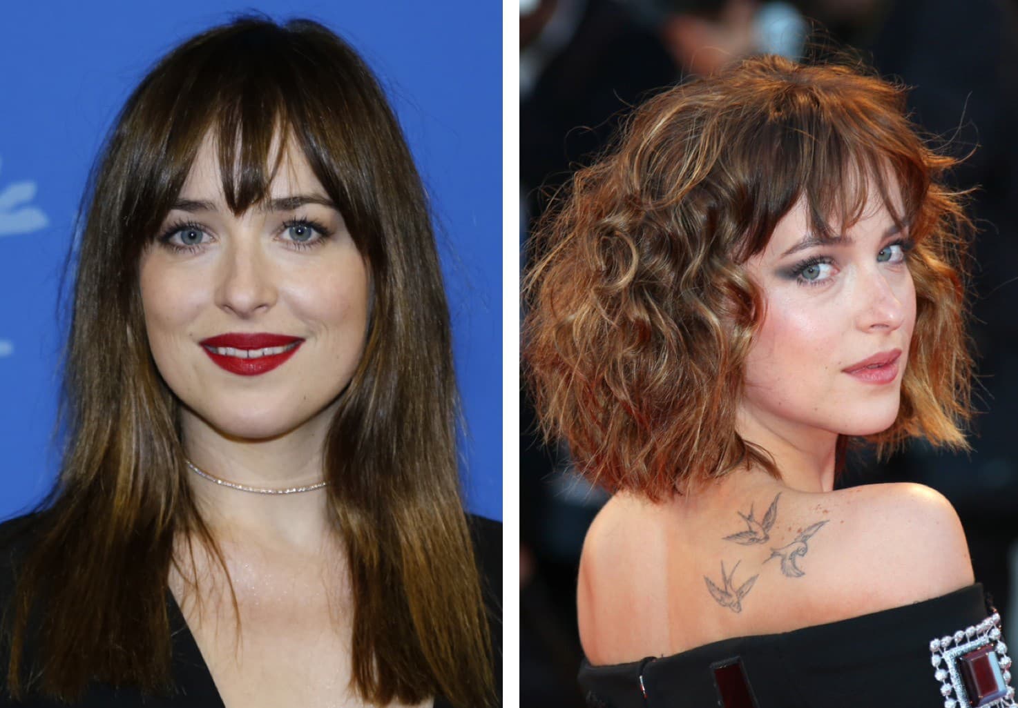 Dakota Johnson sa tiež