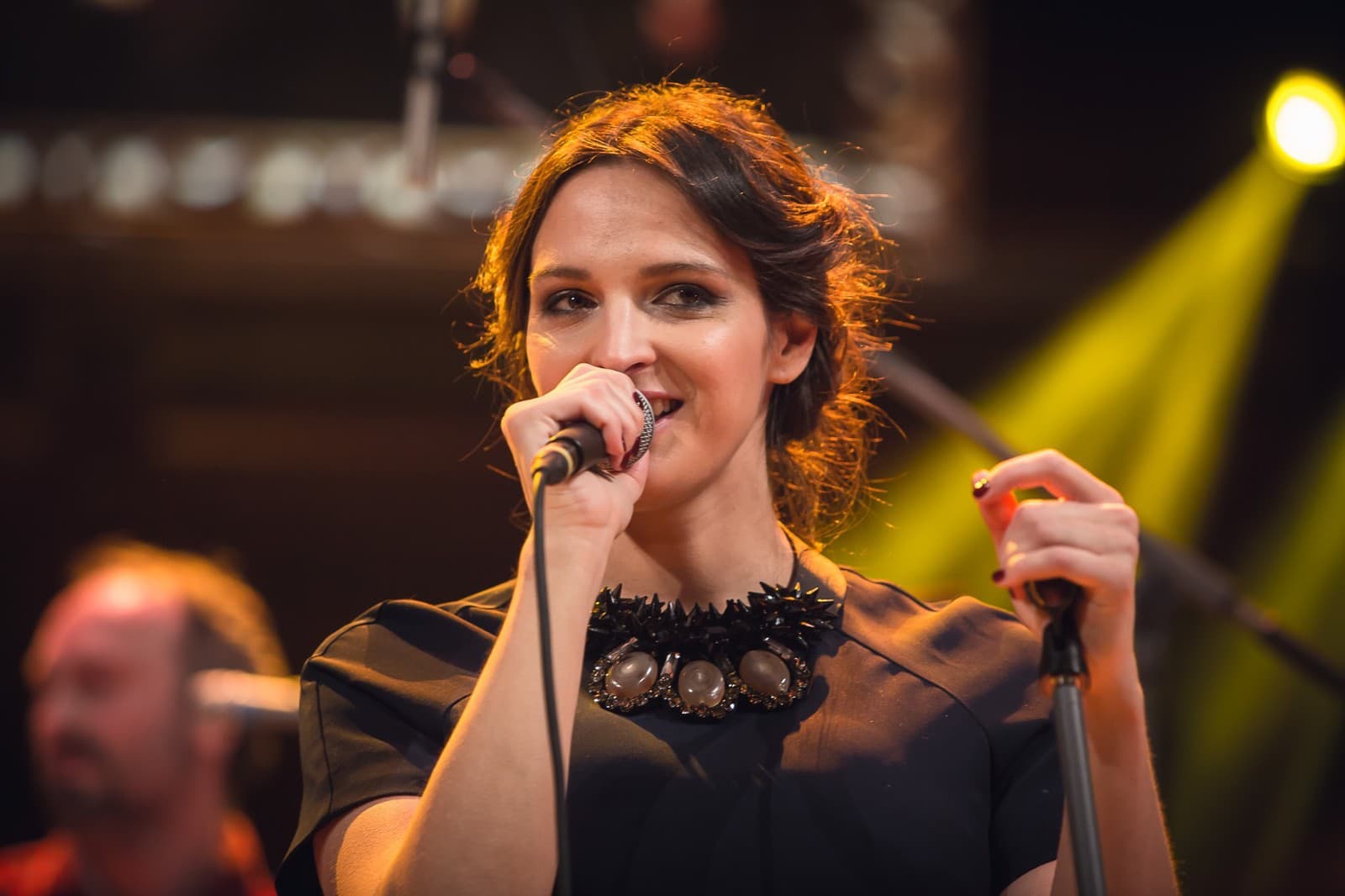 Česko-Slovenský Ples 2015 bol