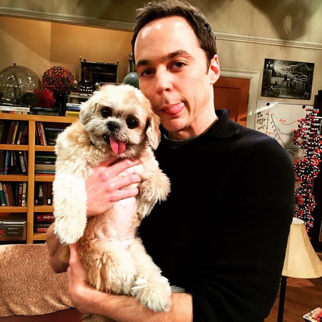 Herec Jim Parsons pôsobí