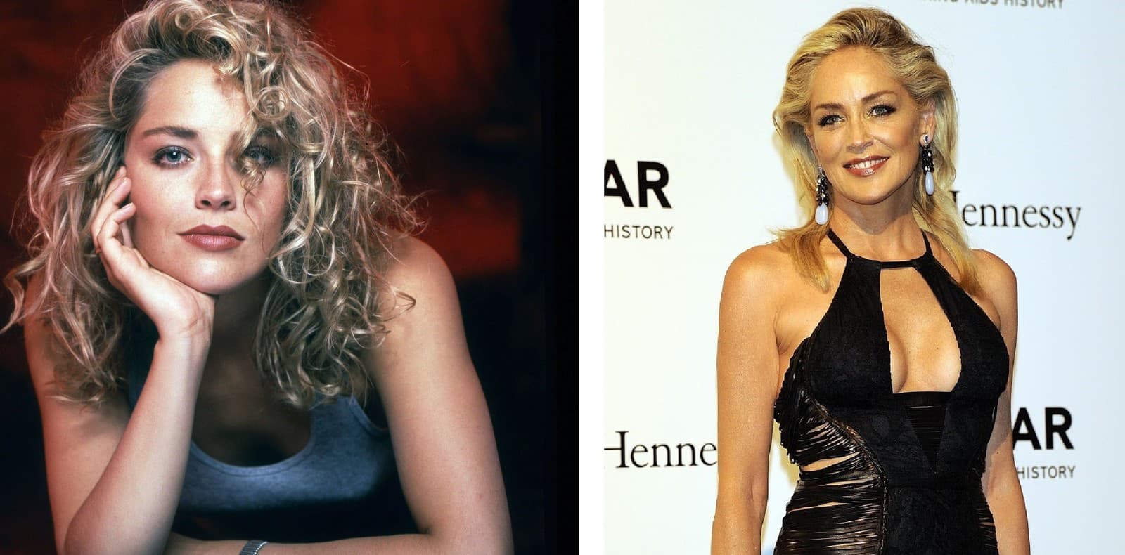 Sharon Stone má aj