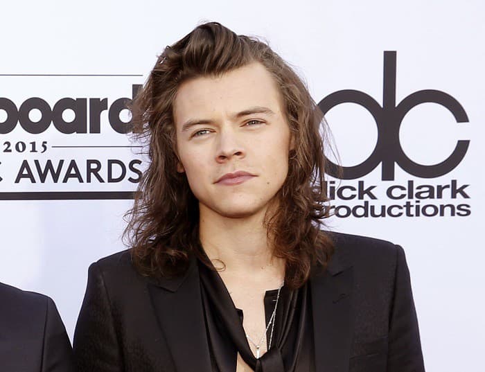 Spevák Harry Styles s