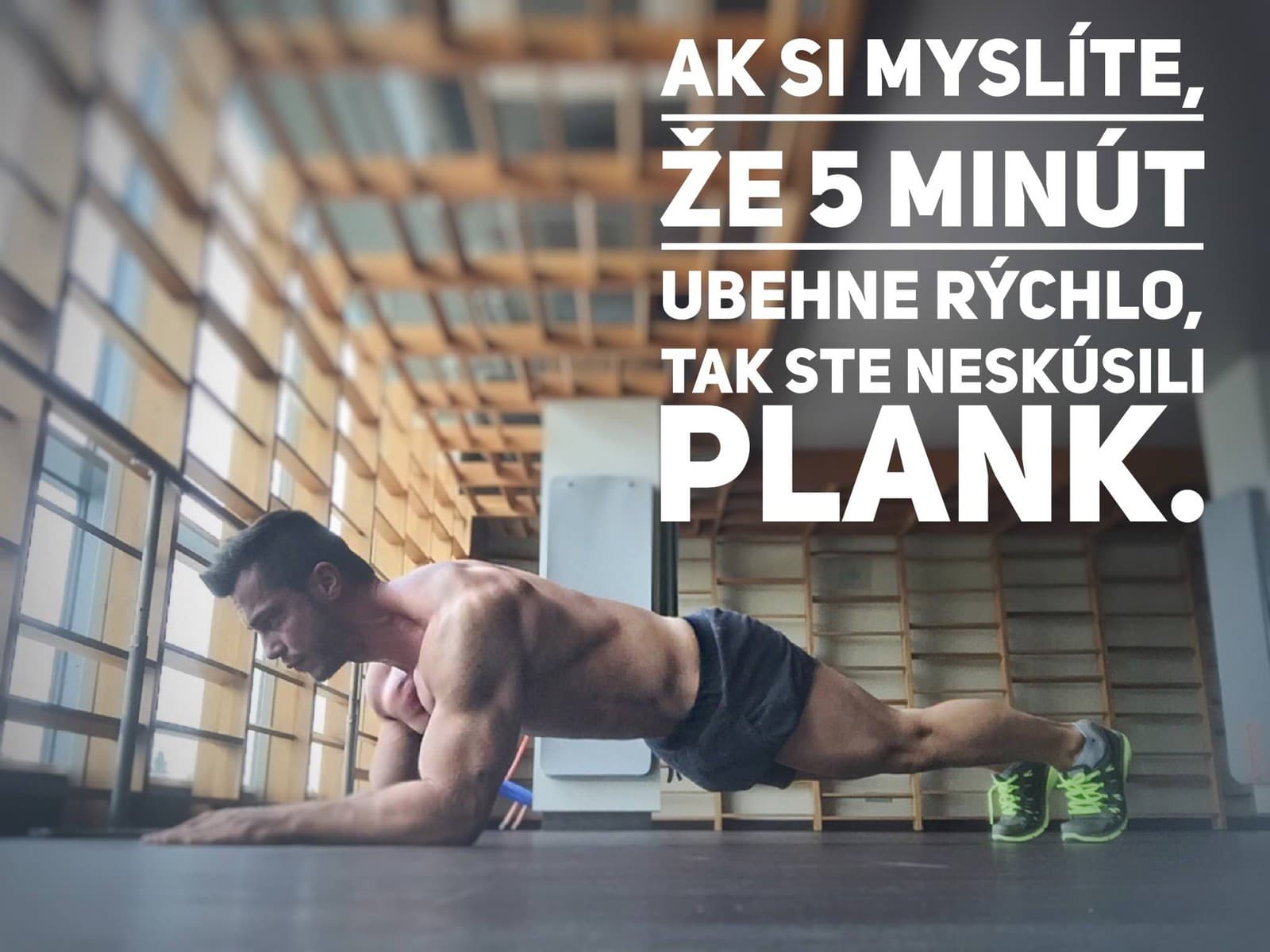 Plank alebo doska je