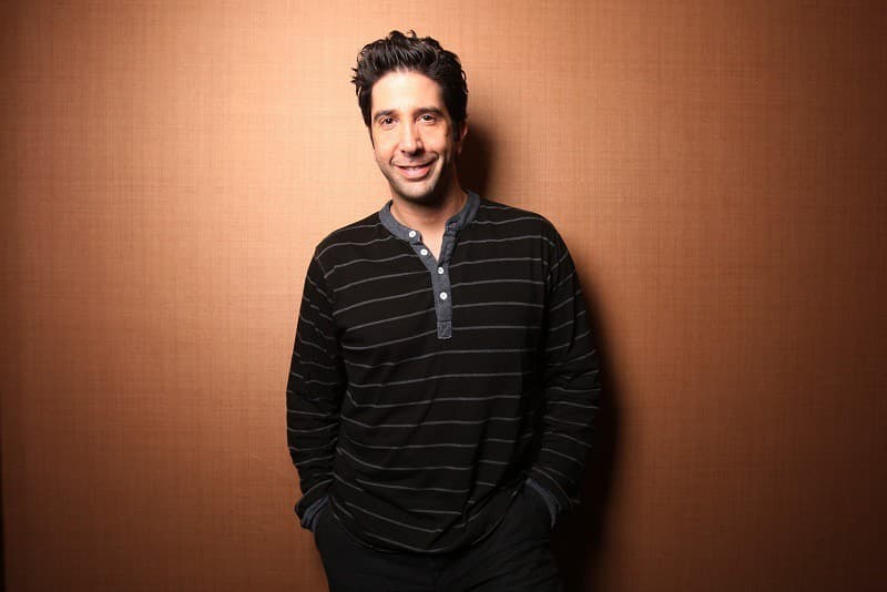 Herec David Schwimmer alias