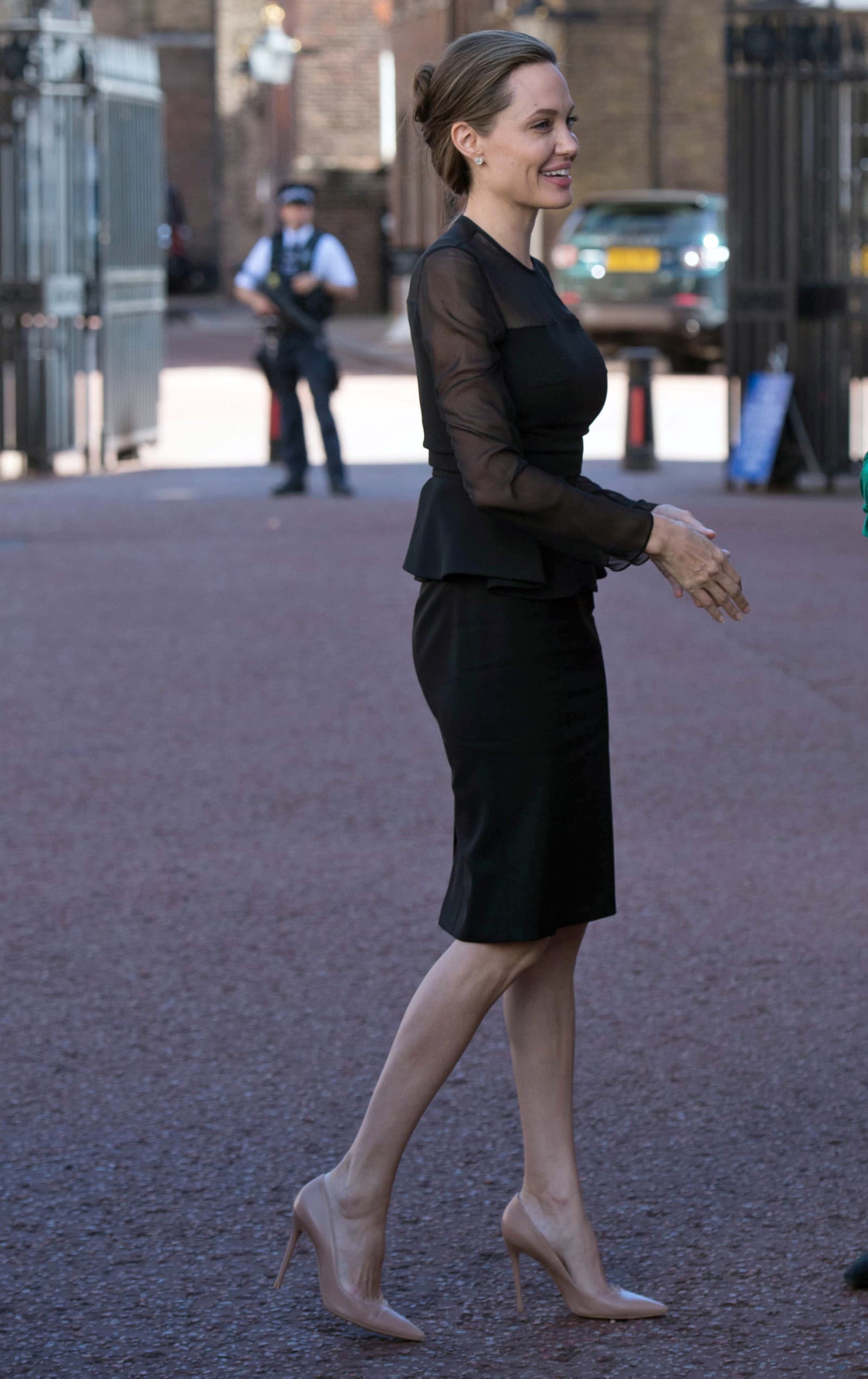 Krásna herečka Angelina Jolie
