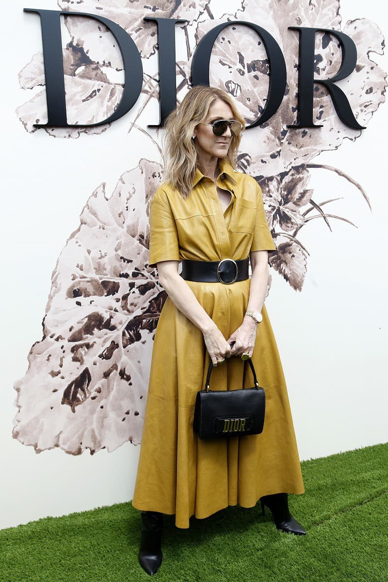 Céline Dion v kožených