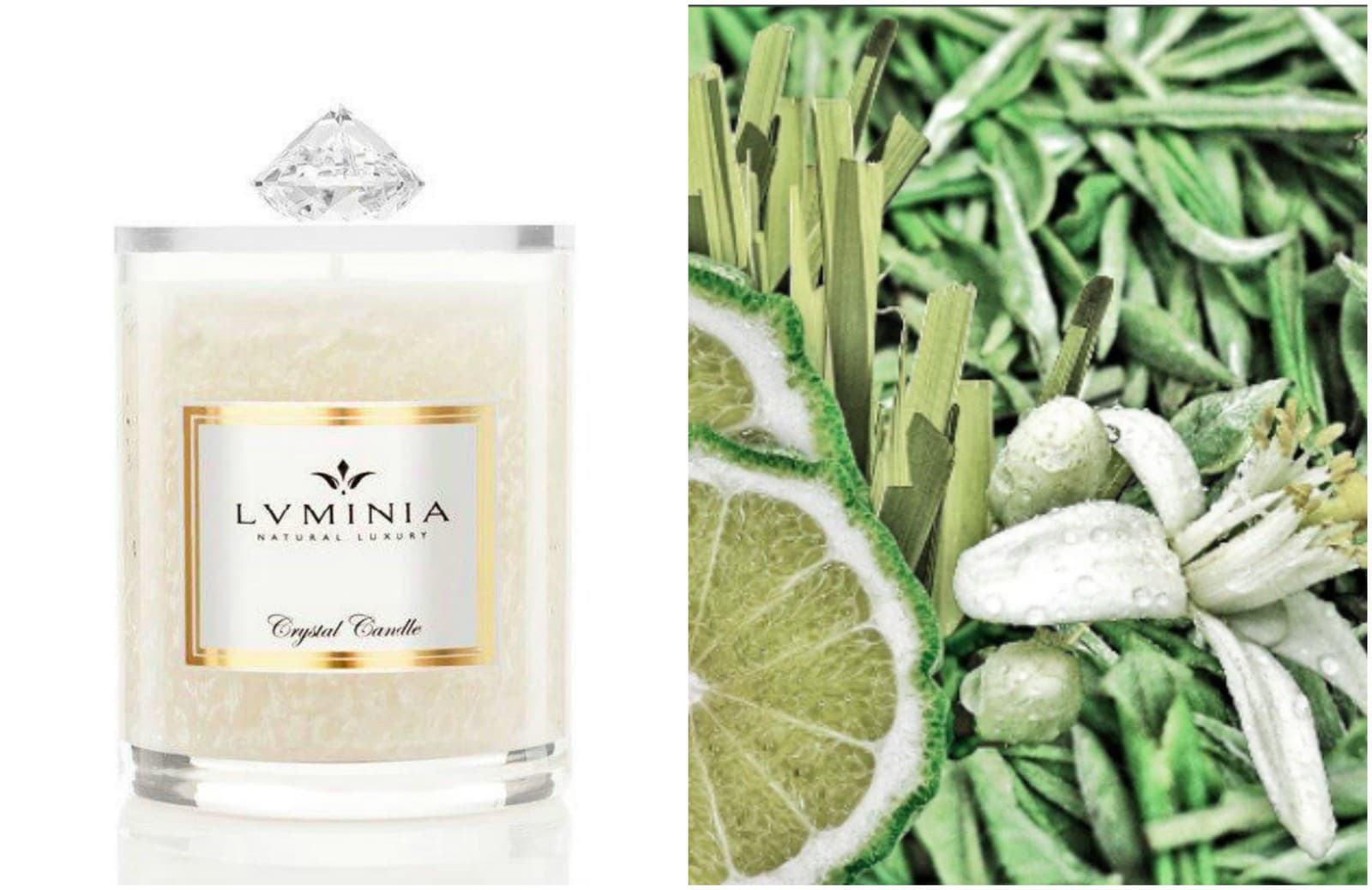 Bergamot & Sencha