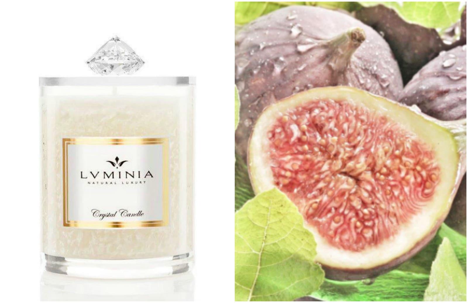 Fig Mediterranean