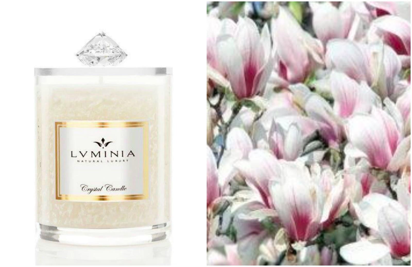 Magnolia & Tuberose