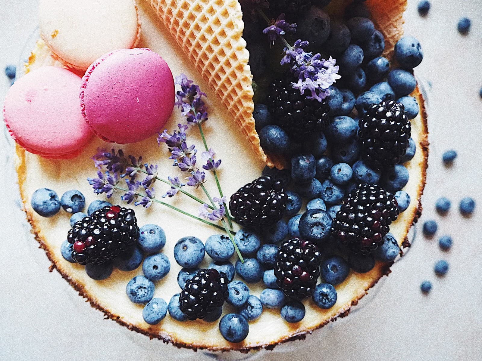 Čučoriedkový cheesecake s horkou