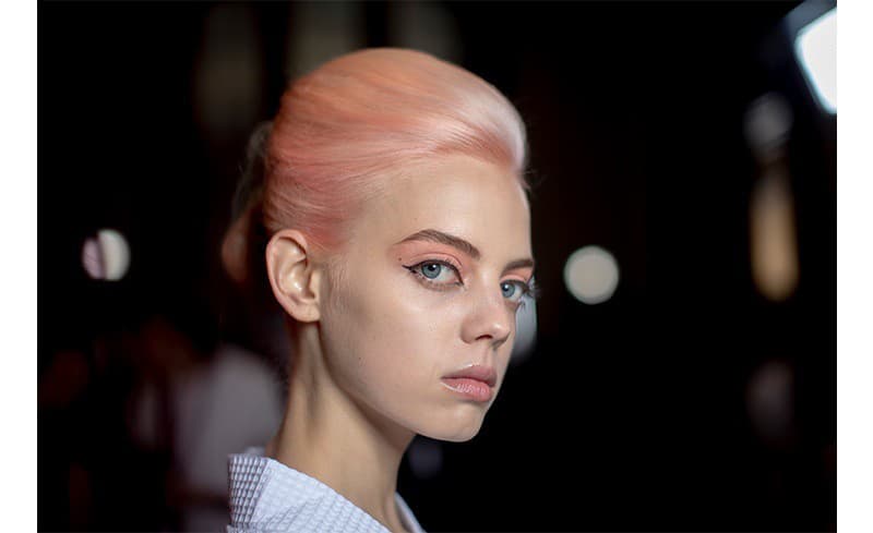 Pantone farba roka sa