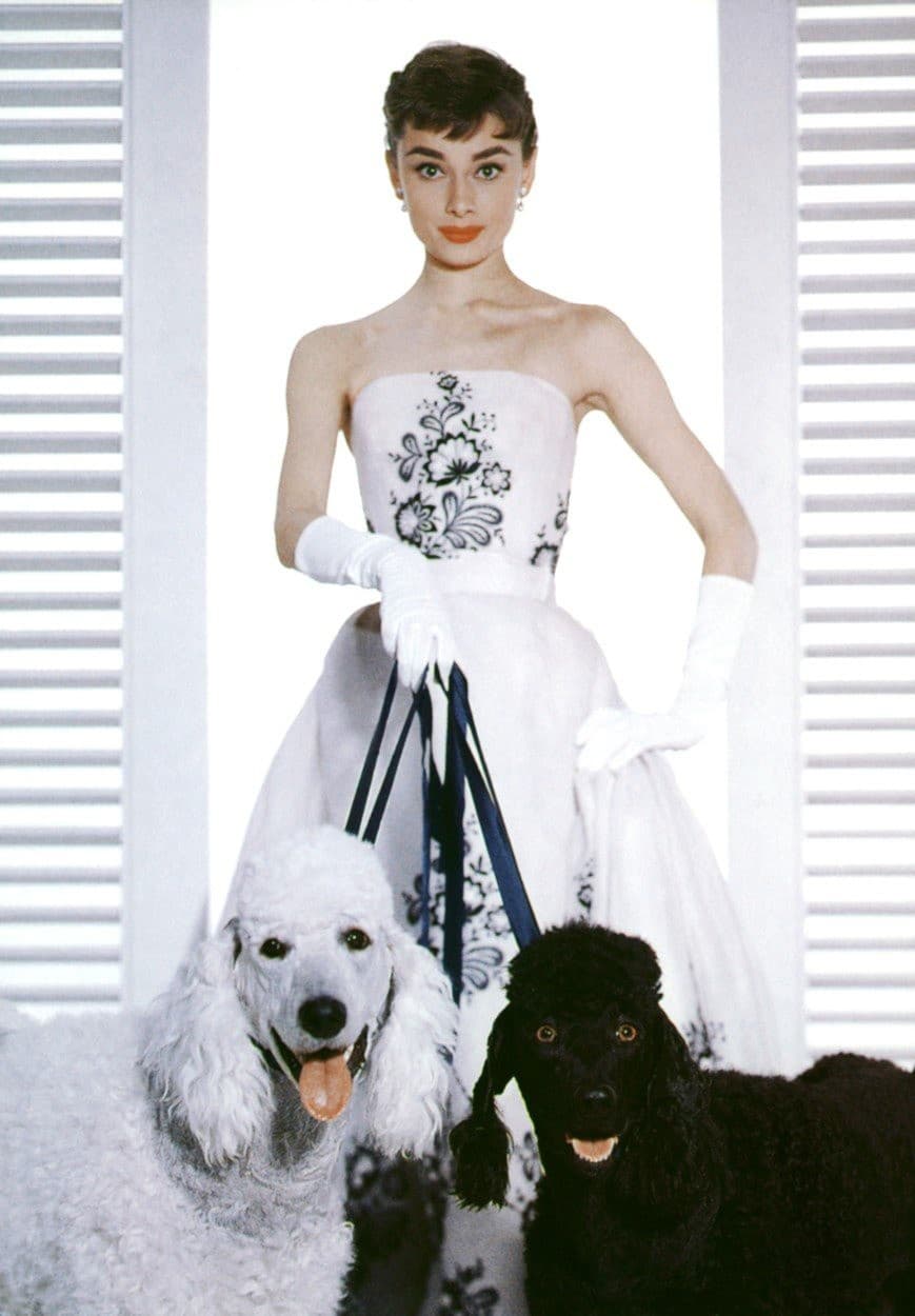 Nasledovala hanblivka Audrey Hepburn,