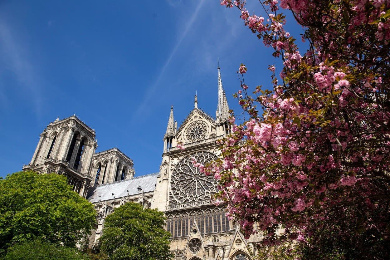 Katedrála Notre Dame pred