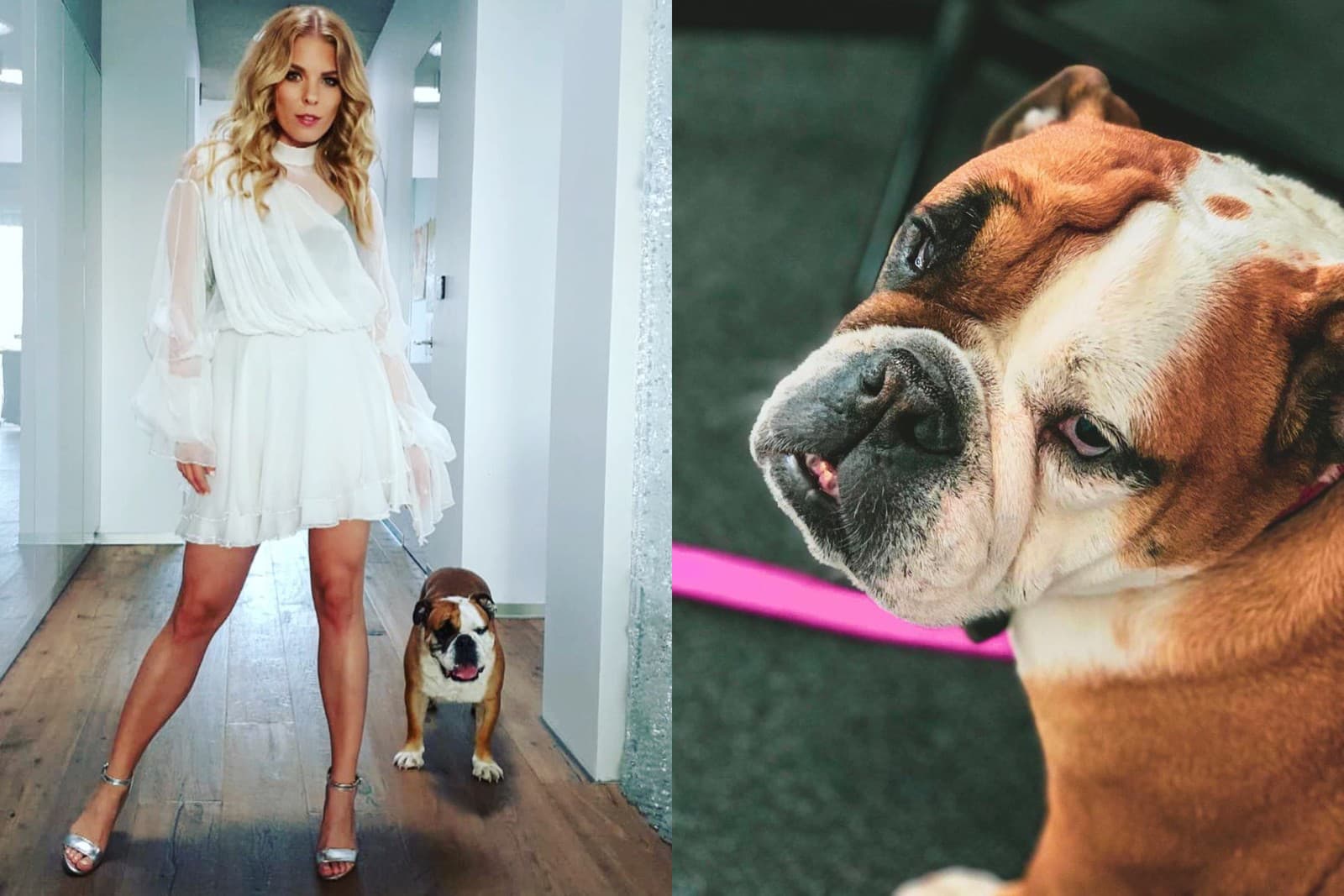 Fenka Molly má dokonca