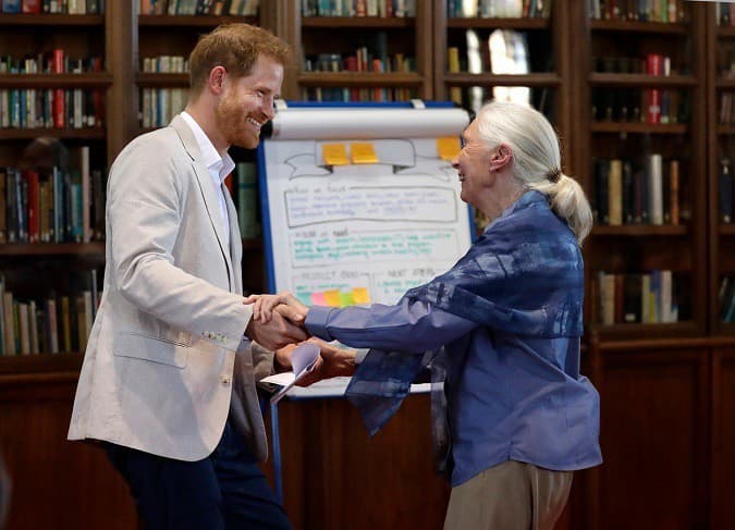 Nedávno vystúpil princ Harry