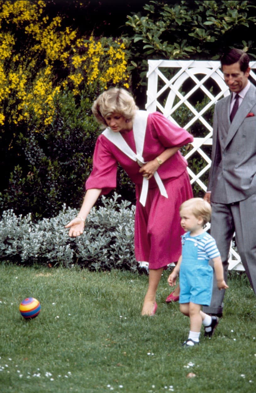Harry a William na