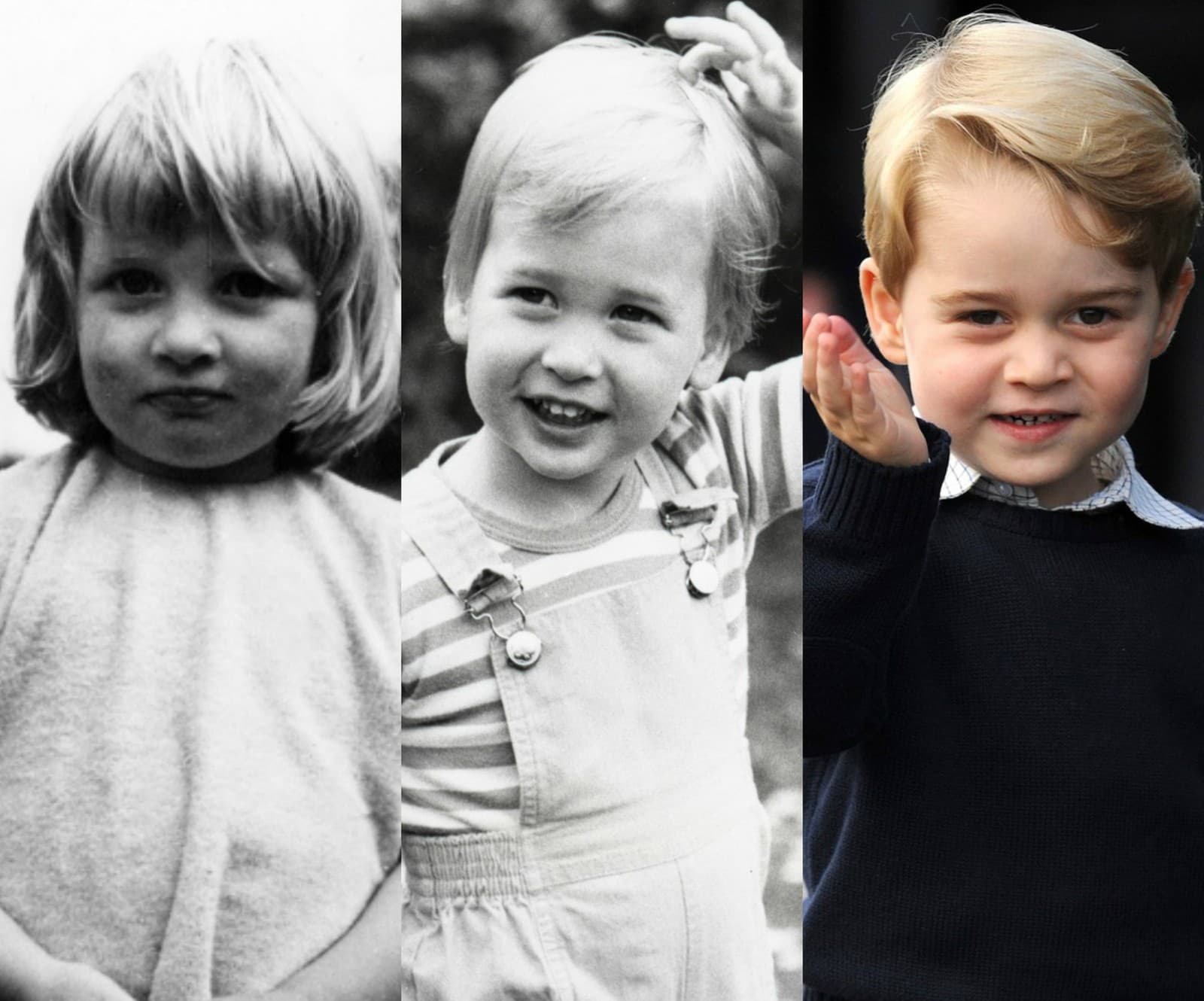 Princezná Diana, princ William,
