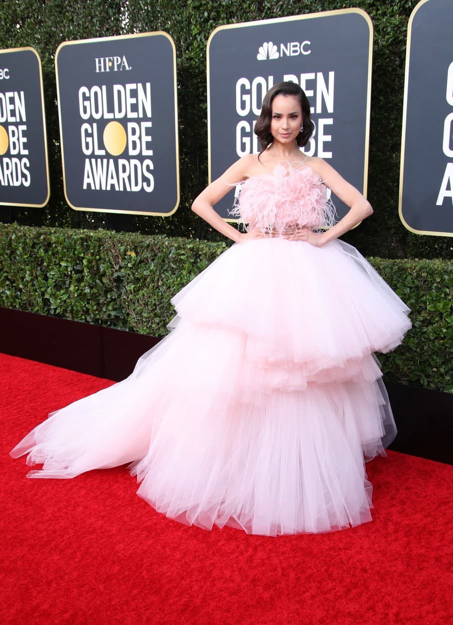 Sofia Carson v róbe