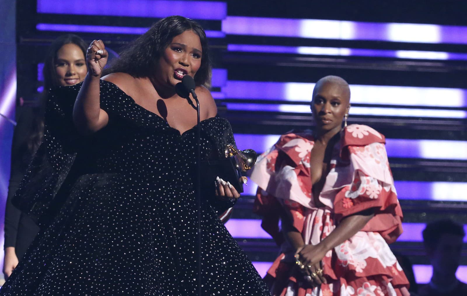 Hudobné ceny Grammy patrili