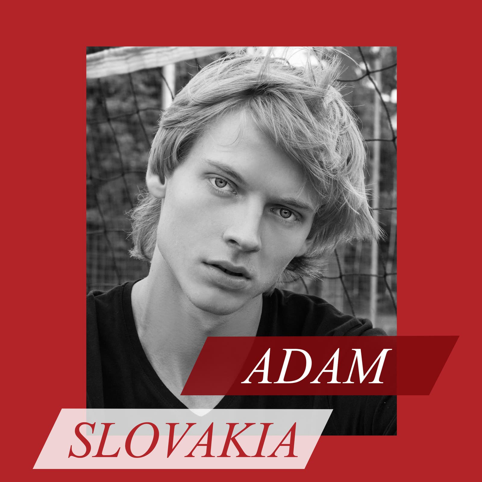 Schwarzkopf Elite Model Look
