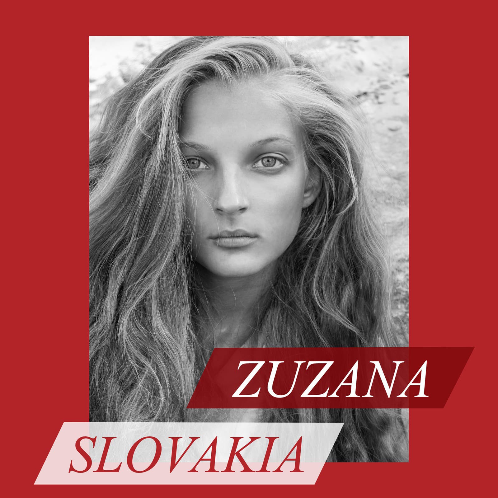 Schwarzkopf Elite Model Look