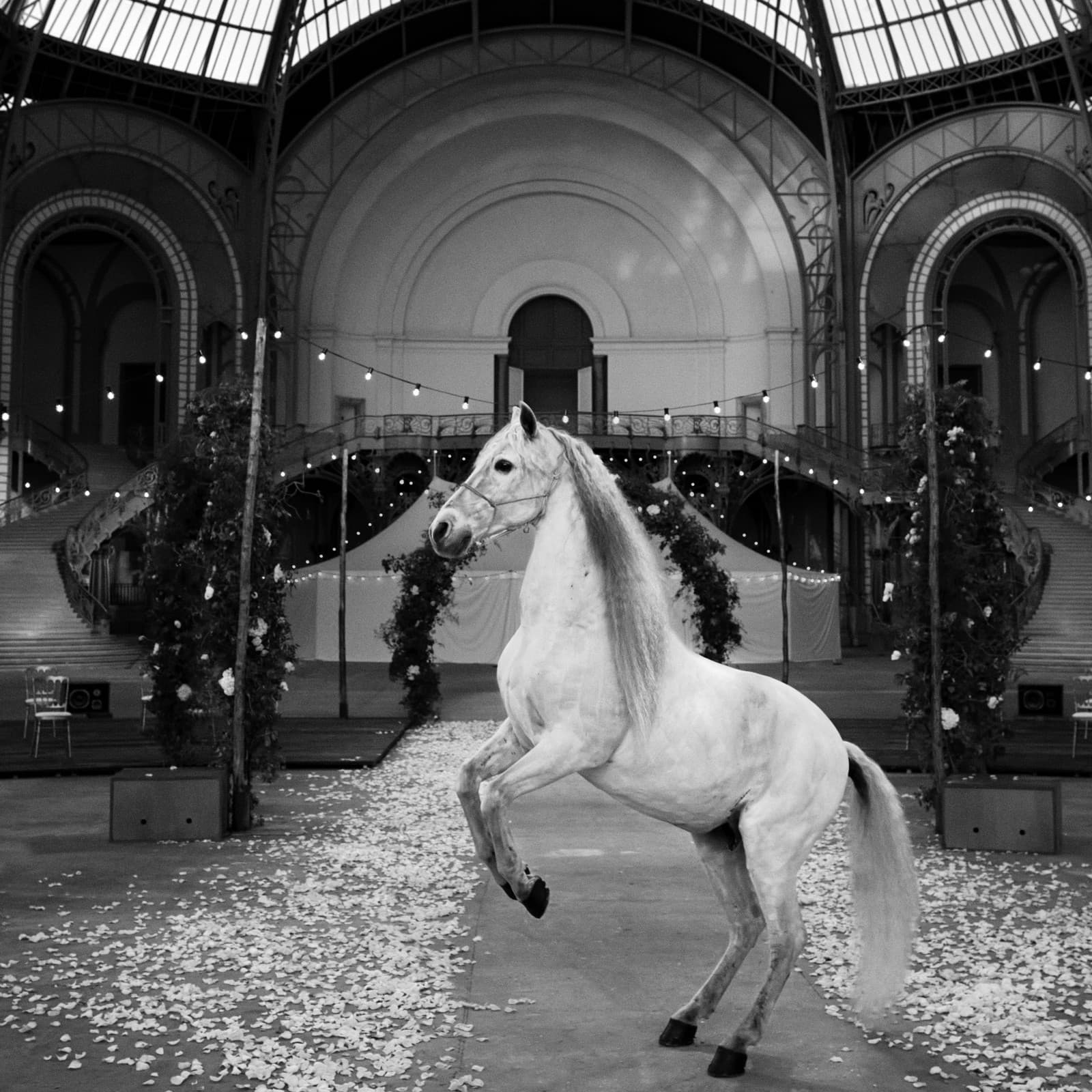 Fotoalbum CHANEL Haute Couture