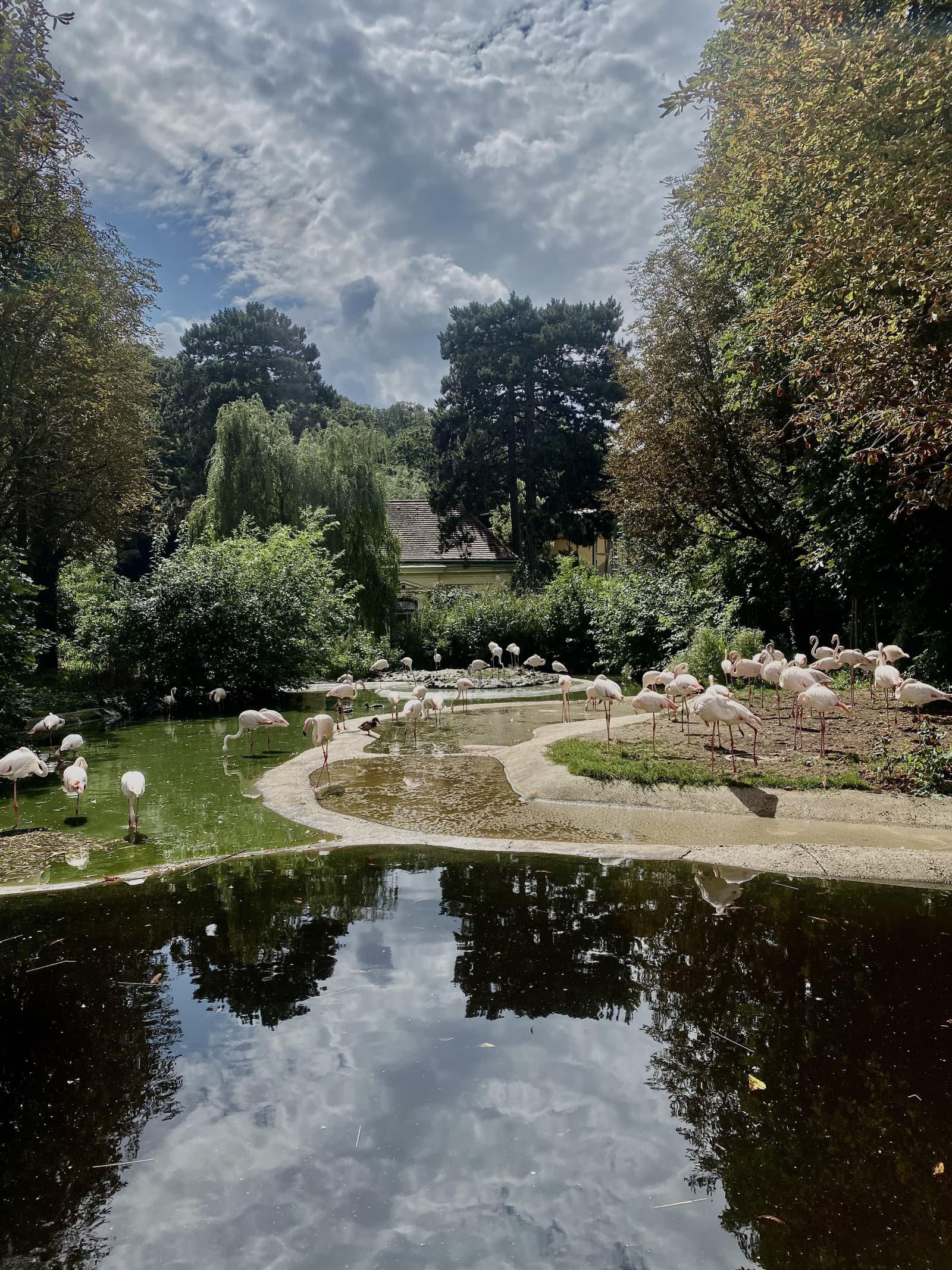 Viedenská ZOO je nádherná