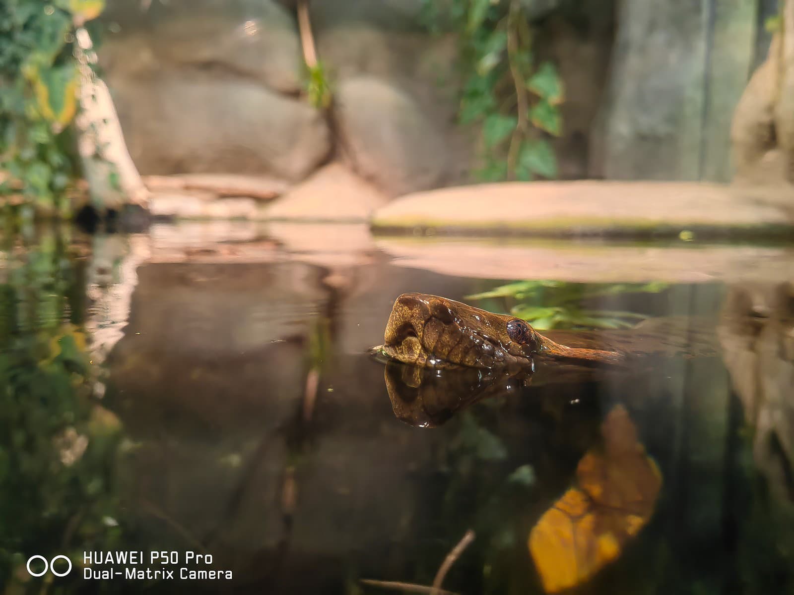 Základné pravidlo fotografovania znie: