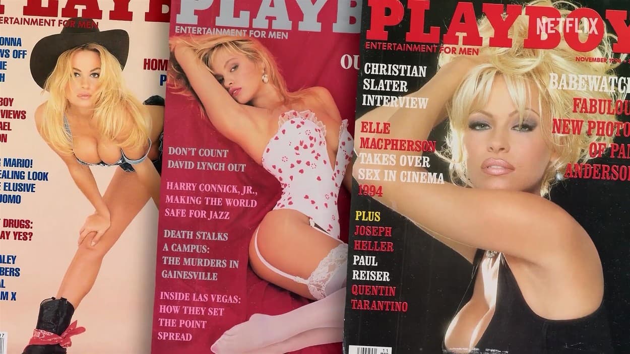 Pamelina kariéra sa začala