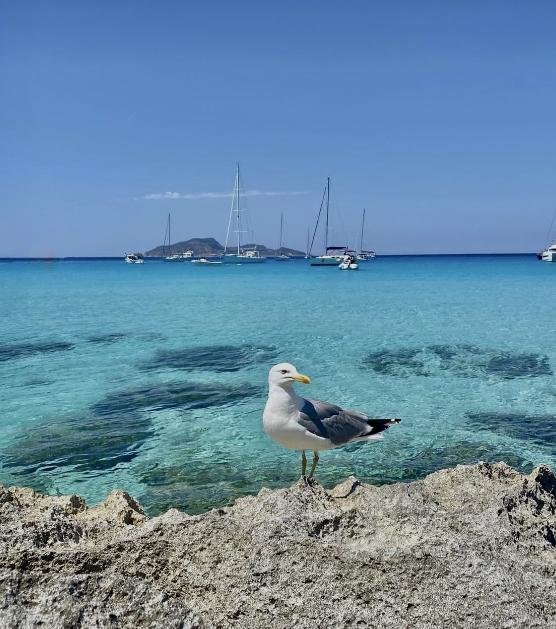 Favignana je malý Karibik
