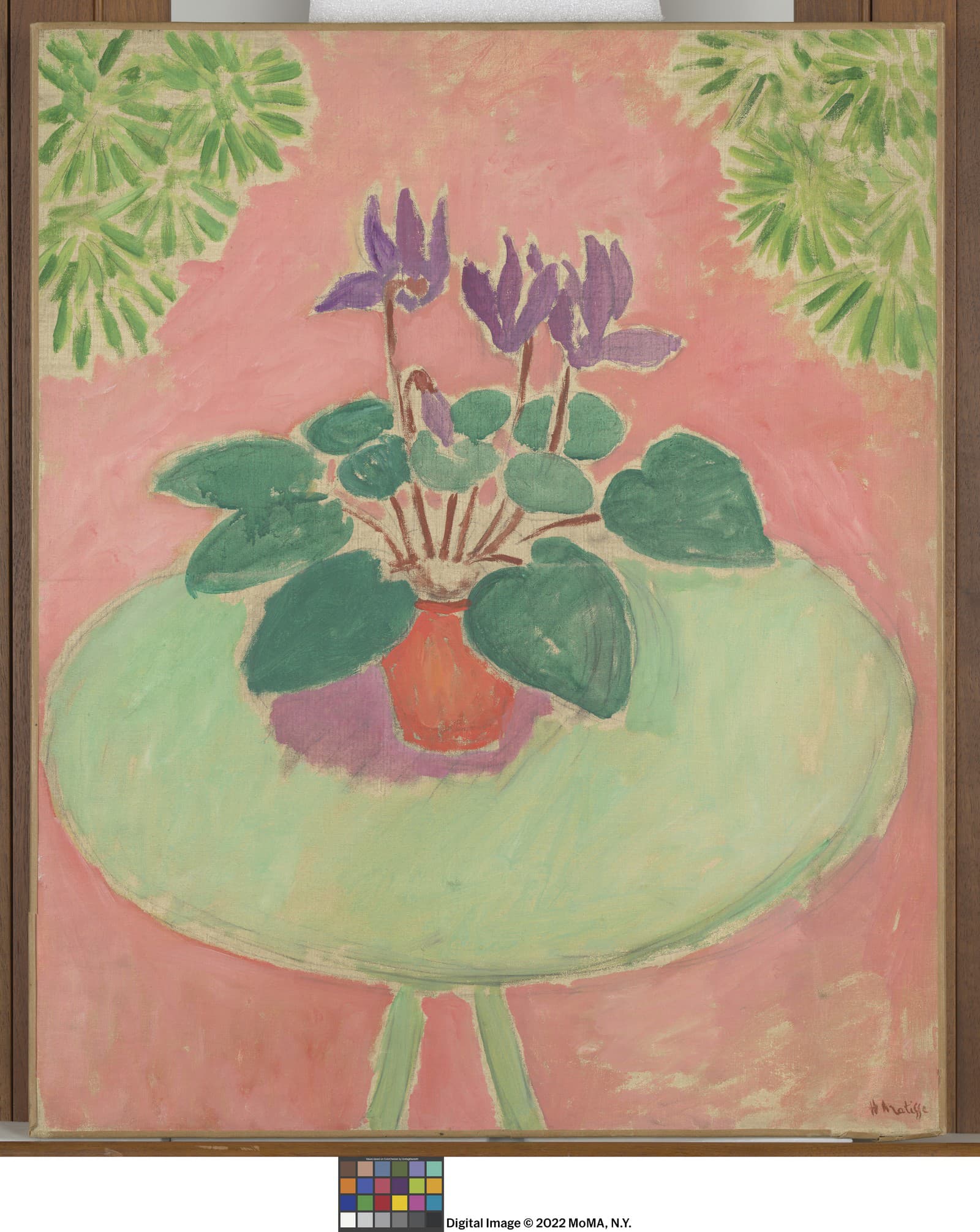 Henri Matisse Cyclamen, Issy-les-Moulineaux,